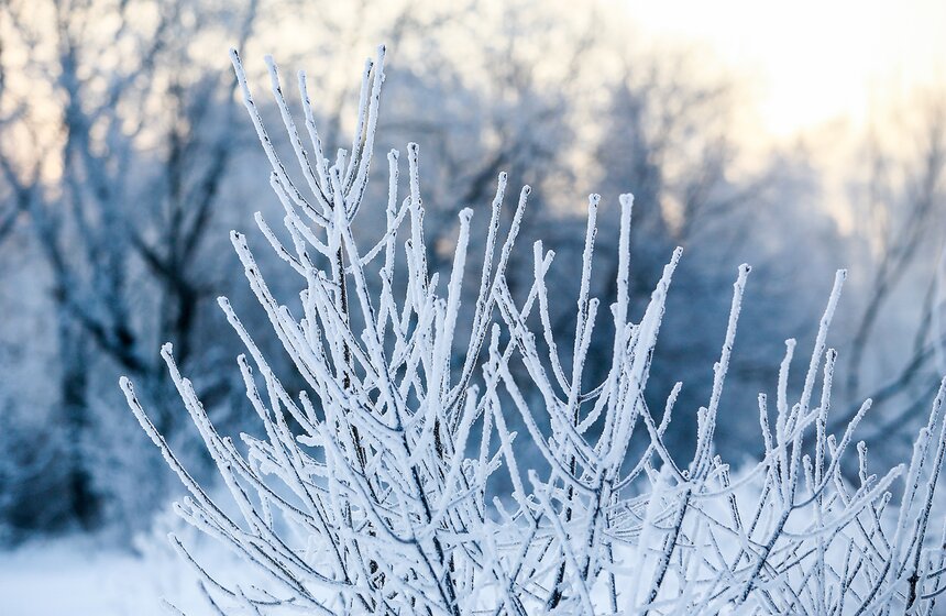 Неповторимые зимние пейзажи. Фоторепортаж 2 фото
