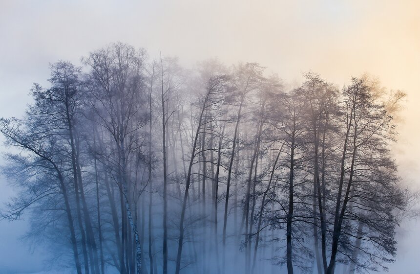 Неповторимые зимние пейзажи. Фоторепортаж 10 фото