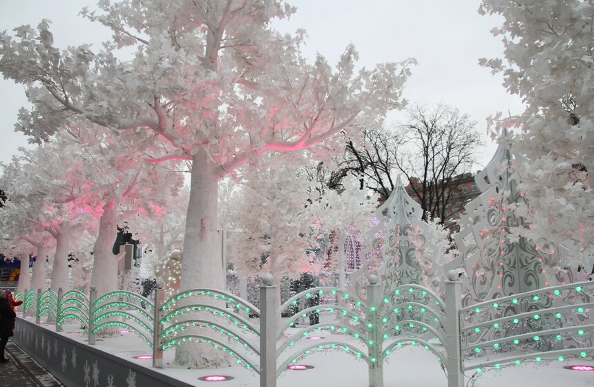 Новогоднее настроение на бульварах столицы 8 фото