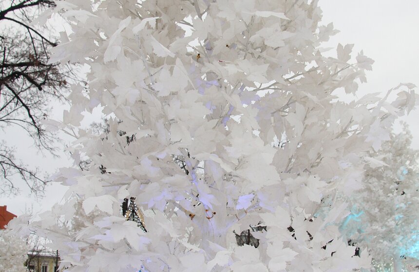 Новогоднее настроение на бульварах столицы 6 фото