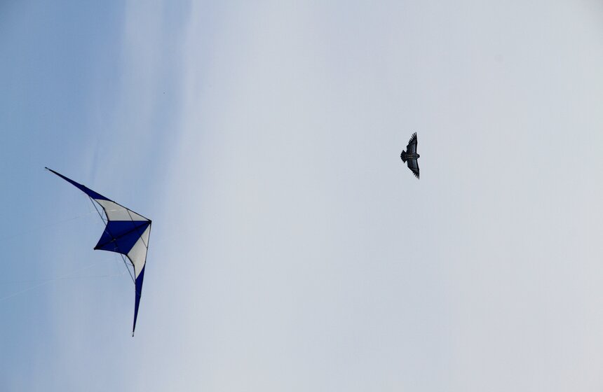 Воздушные змеи пилотажной группы Red Alert поднялись в воздух 2 фото