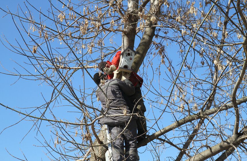 День птиц: декорируем скворечники вместе с Иваном Охлобыстиным 26 фото