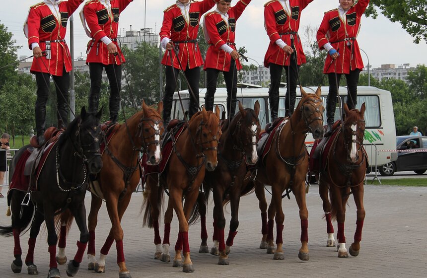В Коломенском показали конное шоу "Традиции России" 10 фото