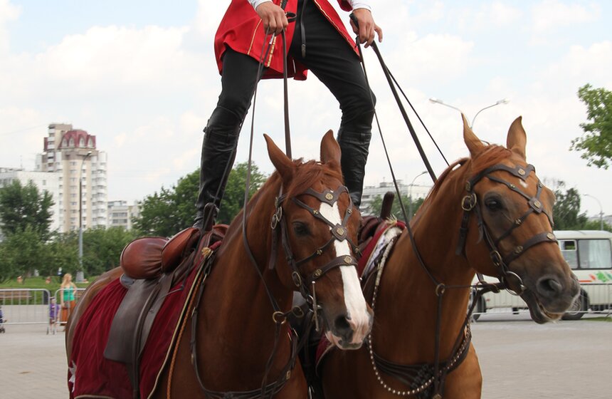 В Коломенском показали конное шоу "Традиции России" 11 фото