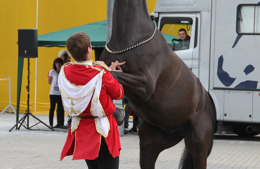 В Коломенском показали конное шоу "Традиции России" 14 фото
