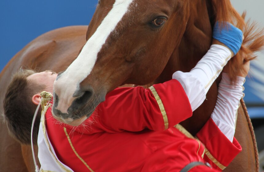 В Коломенском показали конное шоу "Традиции России" 15 фото