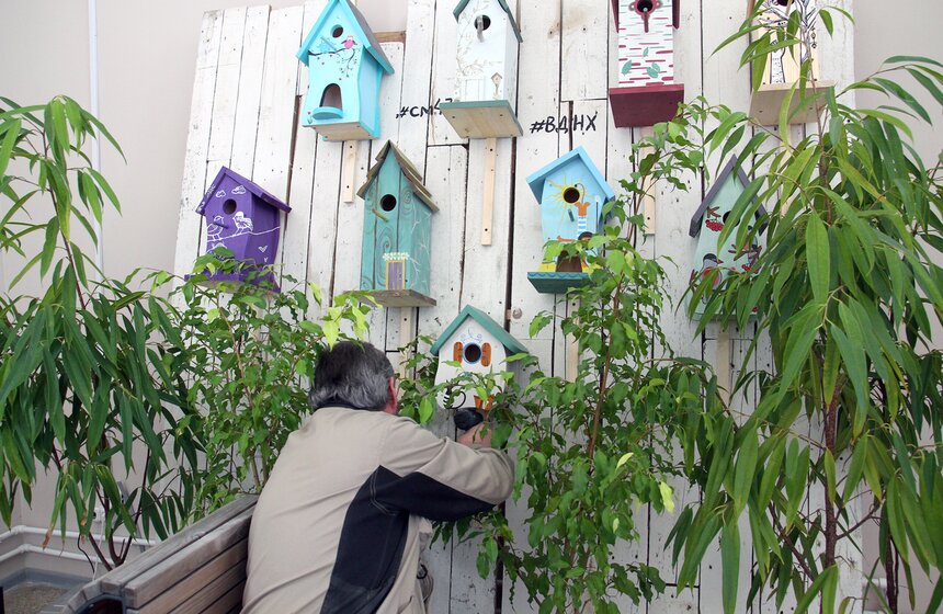 День птиц: декорируем скворечники вместе с Иваном Охлобыстиным 5 фото