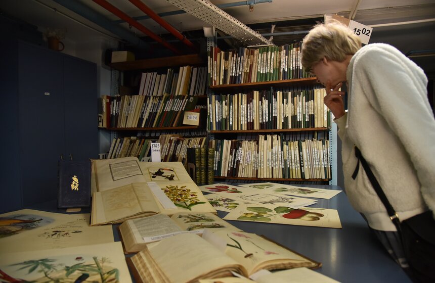 "Библионочь" в Российской государственной библиотеке. Фото 21 фото