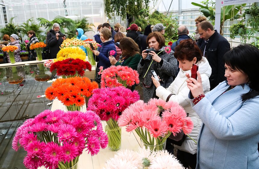 Первую в России выставку гербер открыли в "Аптекарском огороде" 16 фото