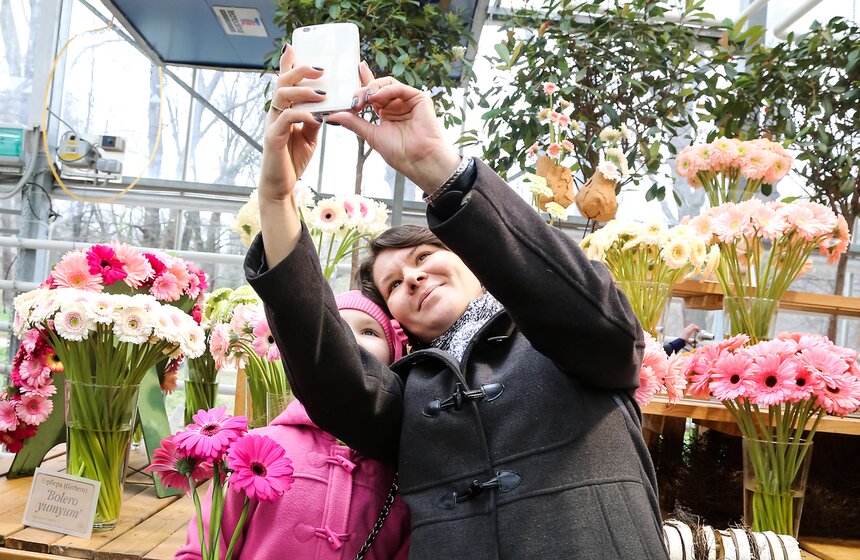 Первую в России выставку гербер открыли в "Аптекарском огороде" 15 фото