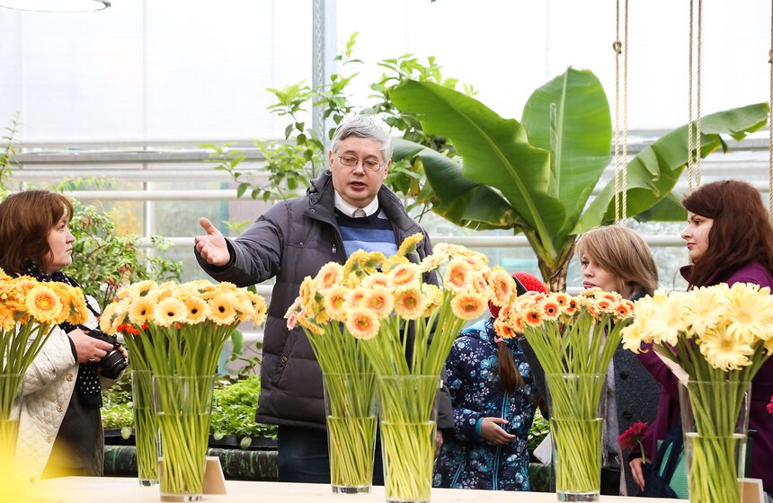 Первую в России выставку гербер открыли в "Аптекарском огороде" 11 фото