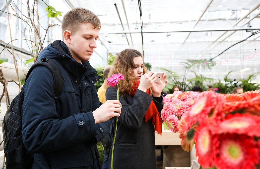 Первую в России выставку гербер открыли в "Аптекарском огороде" 10 фото