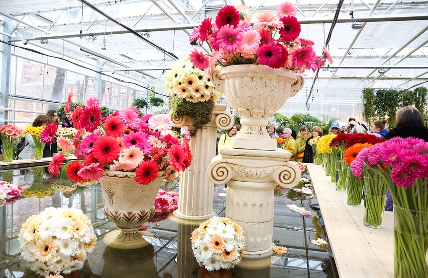 Первую в России выставку гербер открыли в "Аптекарском огороде" 9 фото