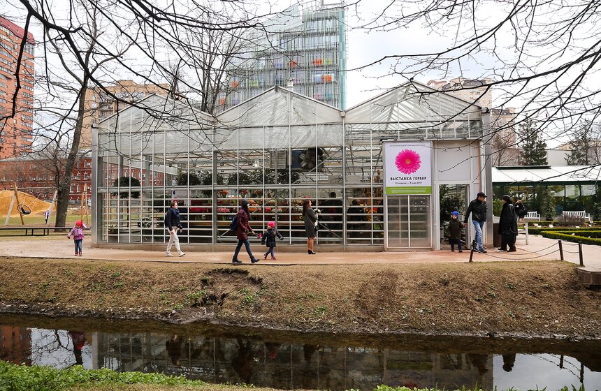 Первую в России выставку гербер открыли в "Аптекарском огороде" 38 фото