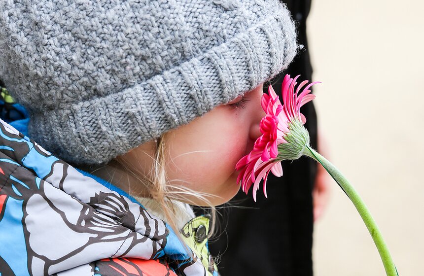 Первую в России выставку гербер открыли в "Аптекарском огороде" 37 фото