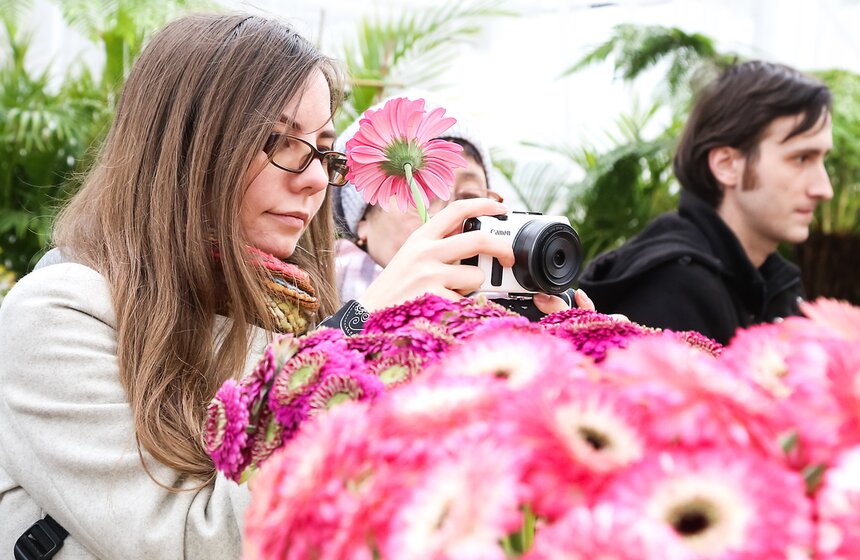 Первую в России выставку гербер открыли в "Аптекарском огороде" 17 фото