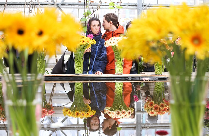 Первую в России выставку гербер открыли в "Аптекарском огороде" 21 фото