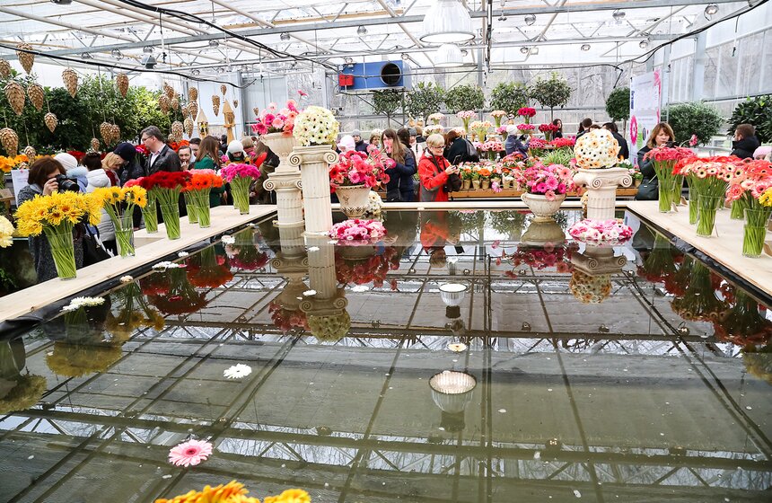 Первую в России выставку гербер открыли в "Аптекарском огороде" 30 фото