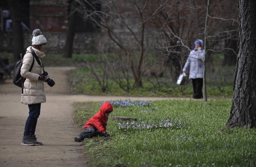 Весенний фестиваль цветов открылся в "Аптекарском огороде" 16 фото