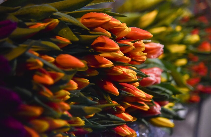 Рейд по пресечению нелегальной торговли цветами 4 фото