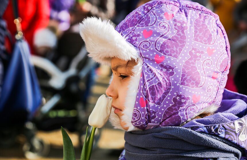День тюльпанов в Воронцовском парке 14 фото