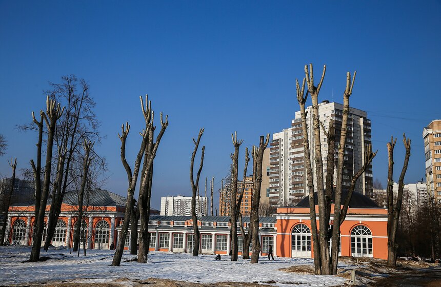 День тюльпанов в Воронцовском парке 28 фото