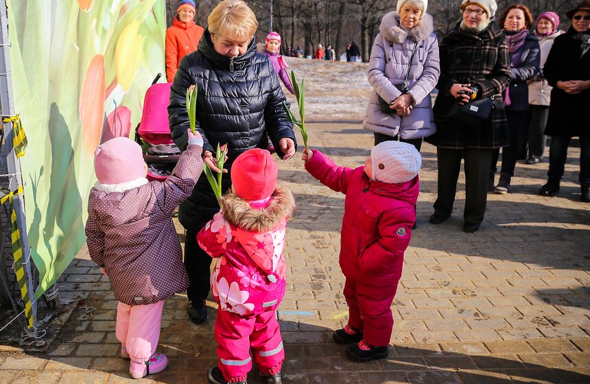 День тюльпанов в Воронцовском парке 22 фото