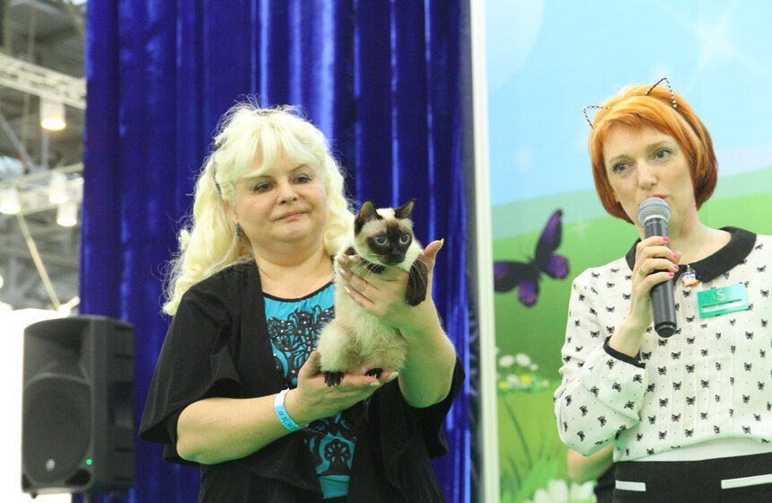 Международная выставка кошек "Кэтсбург-2017" прошла в Москве 5 фото