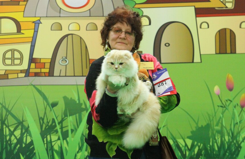 Международная выставка кошек "Кэтсбург-2017" прошла в Москве 4 фото