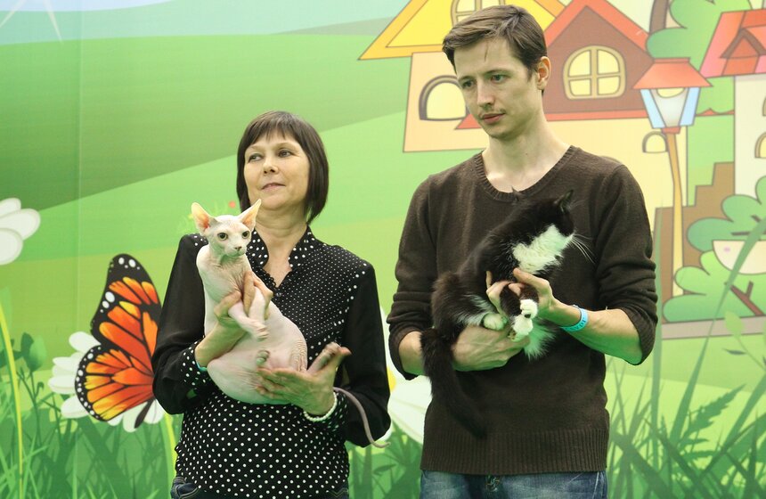 Международная выставка кошек "Кэтсбург-2017" прошла в Москве 7 фото
