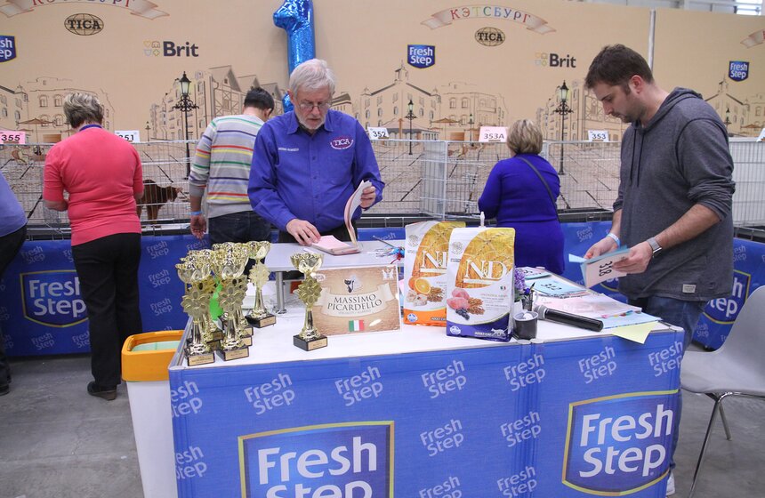 Международная выставка кошек "Кэтсбург-2017" прошла в Москве 17 фото