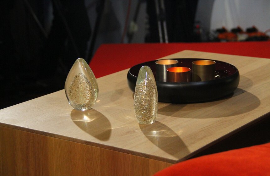 Студия "Москвы 24" в парке Горького встретила новых гостей 17 фото