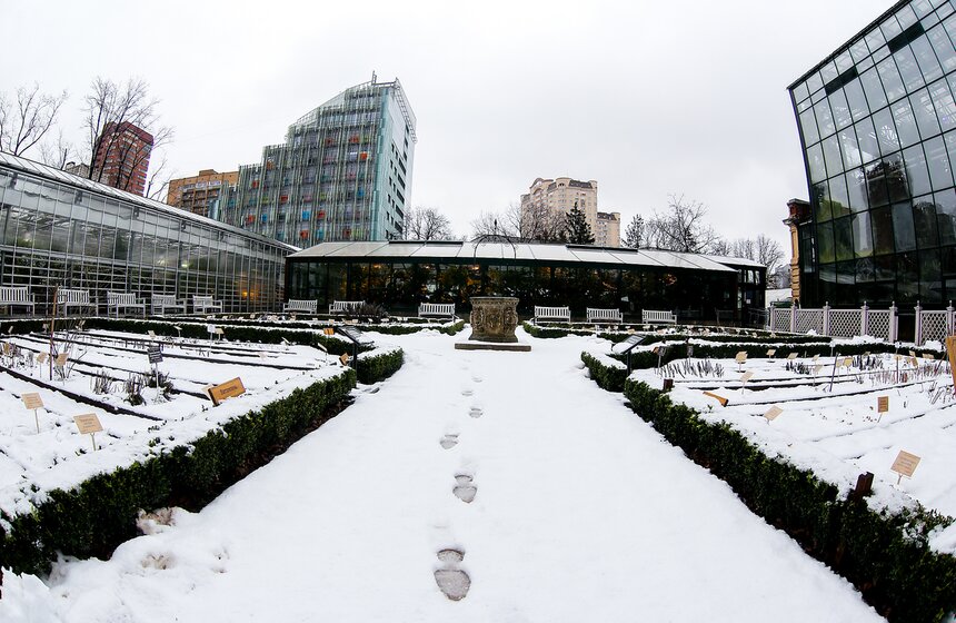 Снежная весна в "Аптекарском огороде" 1 фото