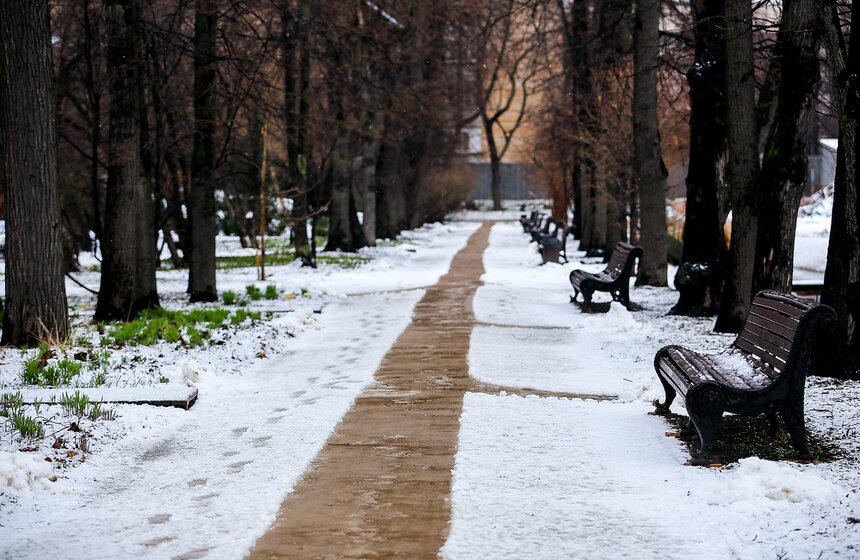 Снежная весна в "Аптекарском огороде" 5 фото