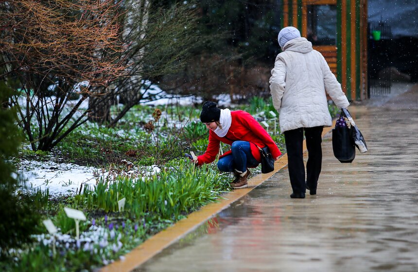Снежная весна в "Аптекарском огороде" 25 фото