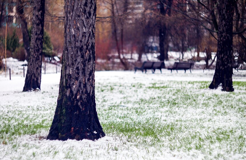 Снежная весна в "Аптекарском огороде" 17 фото