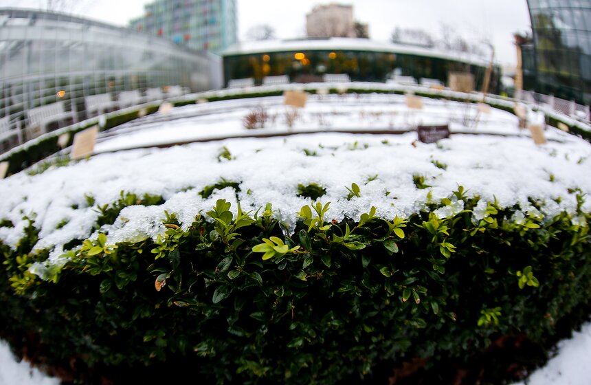 Снежная весна в "Аптекарском огороде" 22 фото