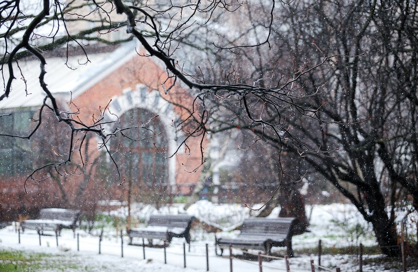 Снежная весна в "Аптекарском огороде" 28 фото