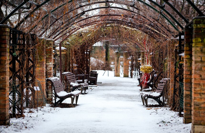 Снежная весна в "Аптекарском огороде" 13 фото