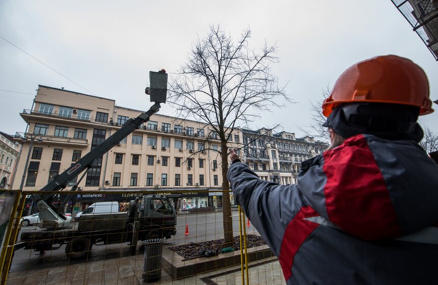 Коммунальщики подрезали деревья на Тверской улице 3 фото