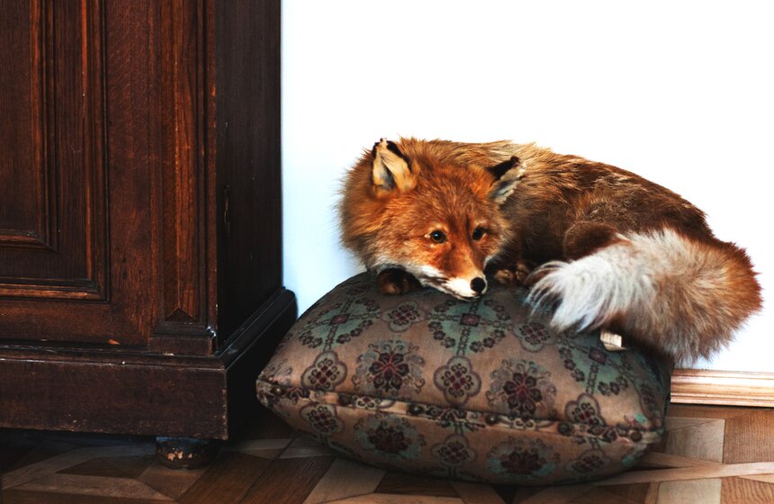 В Москве работает Дом-музей Марины Цветаевой 7 фото