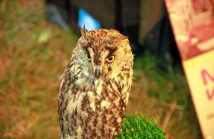 В природном парке "Москворецкий" прошел экологический фестиваль 3 фото