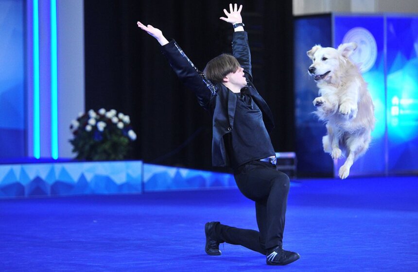Фото: АГН Москва/Киселев Сергей. Интернациональная выставка собак "Россия-2017" проходила 18−19 ноября в МВЦ "Крокус Экспо". За звания чемпионов боролись почти 15 тысяч участников 300 различных пород, а оценивали красоту четвероногих эксперты более чем из двух десятков стран. Гости дог-шоу смогли увидеть необычные показательные выступления собак и их хозяев по трейболу и ралли-обидиенс, азартные чемпионаты РКФ по флайболу и танцам с собаками.