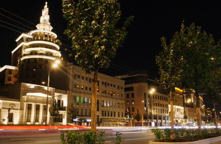 Деревья прекрасно вписались в облик столичных улиц и выглядят весьма эффектно как днем, так и в ночное время