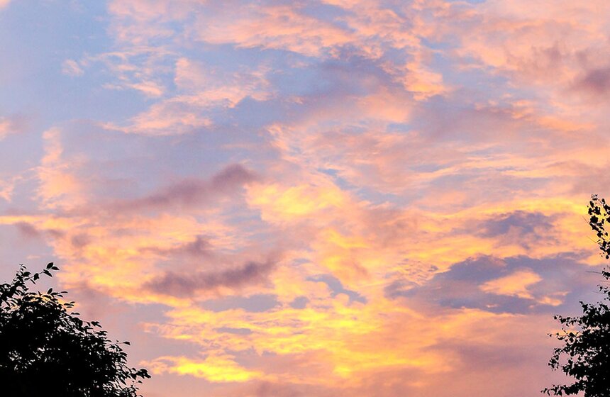 Премьера VR-постановки Максима Диденко "Клетка с попугаями" 18 фото