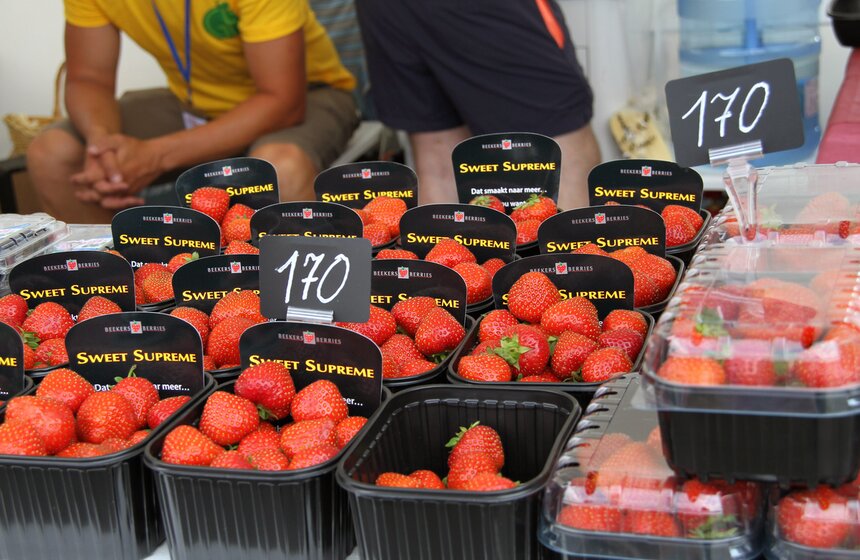 На Фестиваль клубники привезли около двух тонн ягод 9 фото