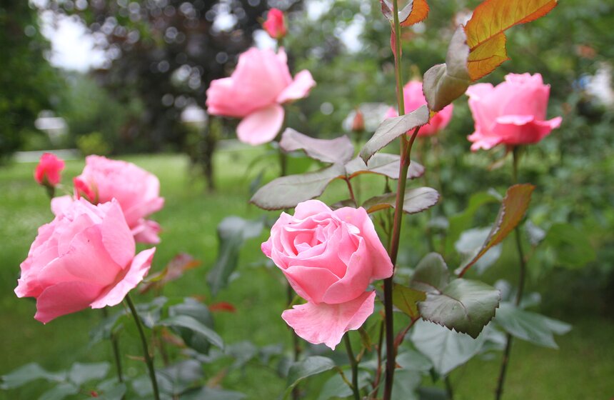 Собянин посетил площадки особой экономической зоны в Зеленограде 4 фото