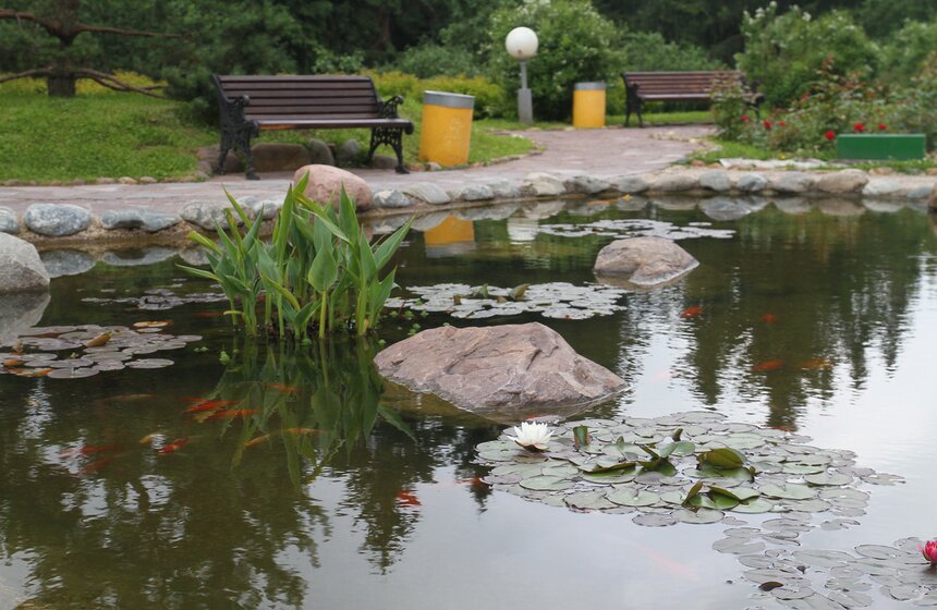 Собянин посетил площадки особой экономической зоны в Зеленограде 12 фото