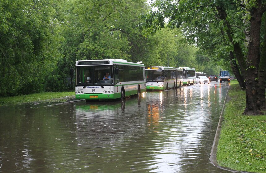 Последствия "вселенского потопа" 3 фото