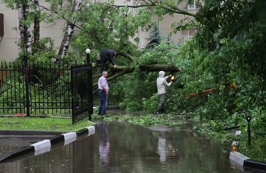 Последствия "вселенского потопа" 6 фото